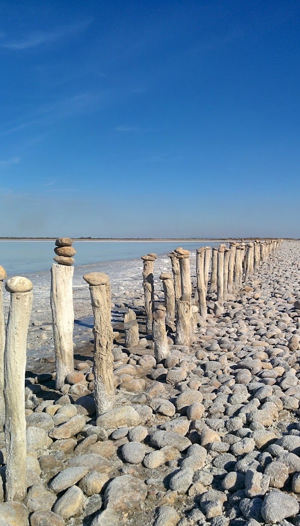 Étang du Fangassier 3