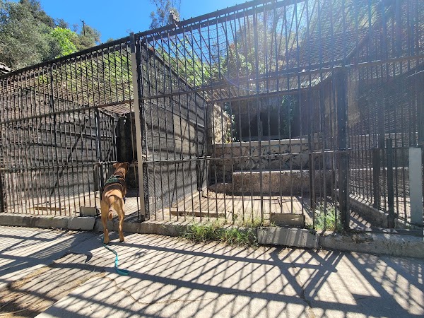 Old Los Angeles Zoo 4