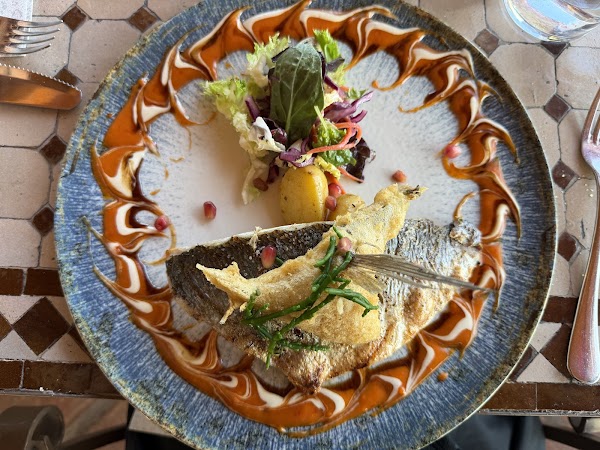 The Garden Restaurant / Restaurante El Jardín 4