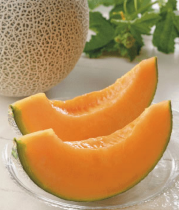 Tomita Melon House 5