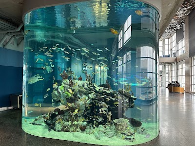 South Carolina Aquarium