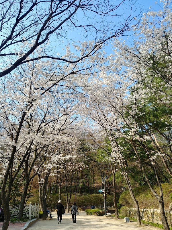 Samcheong Park 5