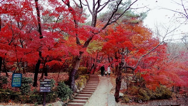 Samcheong Park 3