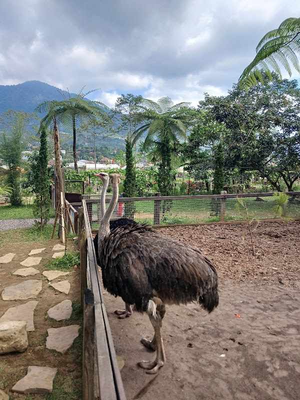 Bali Farm House 4