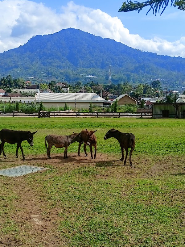 Bali Farm House 3