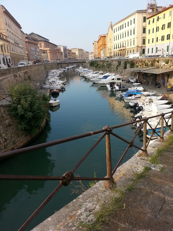 Livorno 5