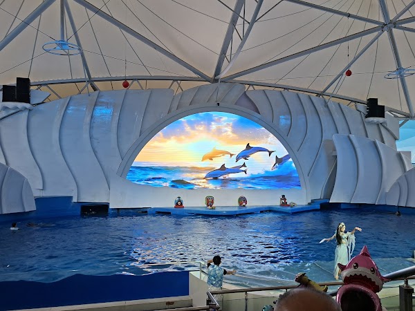 Ocean World 1
