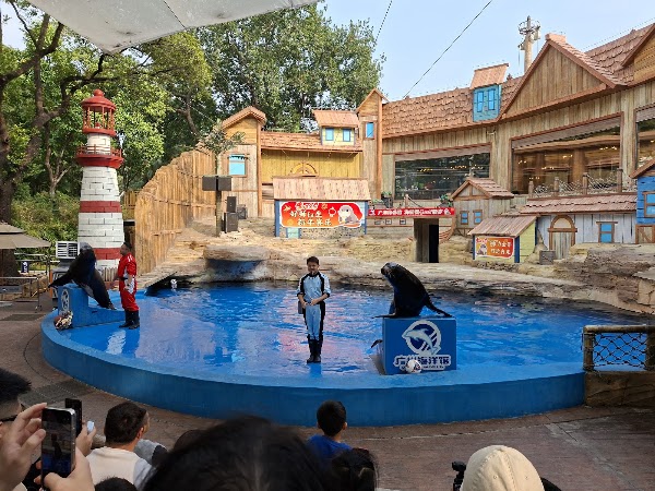 Ocean World 4