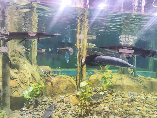Ocean World 2