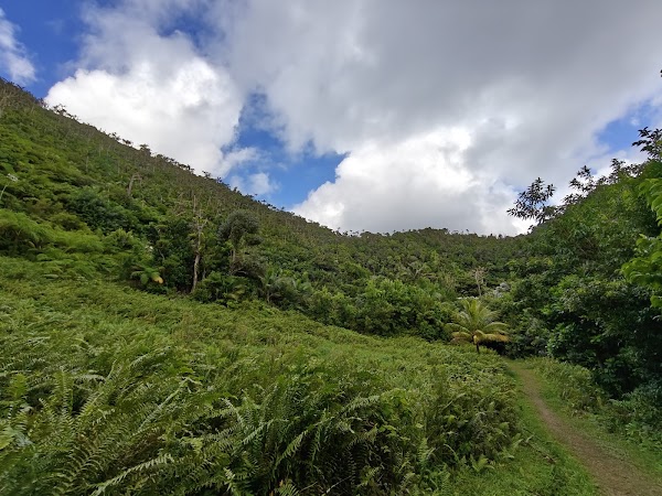 Morne aux Diables