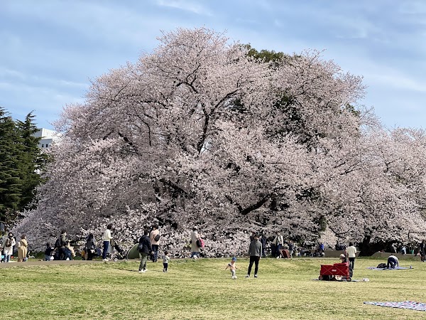 Kinuta Park 5