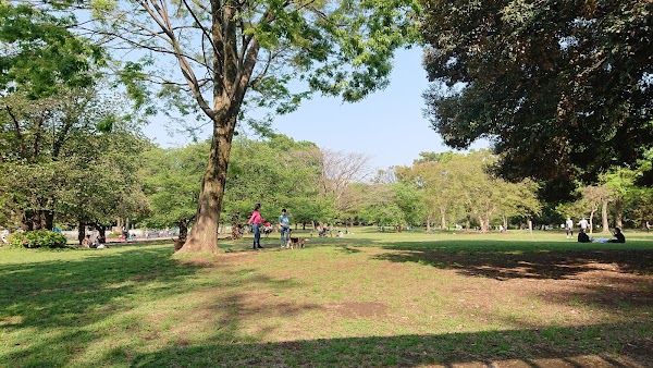Kinuta Park 4