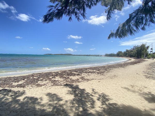Seven Seas Beach 1