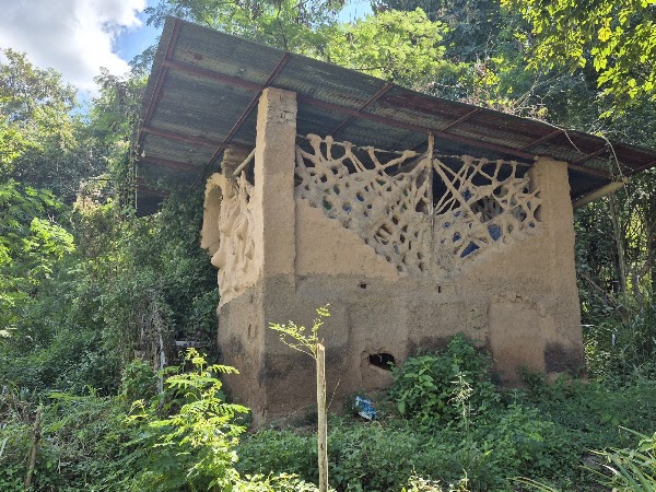 Panya Forest