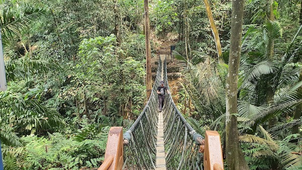 Hutan Pendidikan Bukit Gasing 5