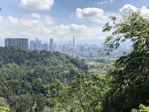 Hutan Pendidikan Bukit Gasing 3