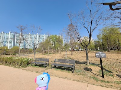 RM forest 2