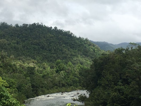Tully Gorge National Park 1