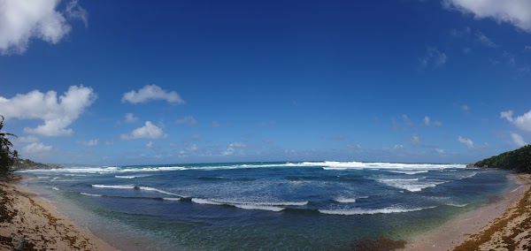Barbados 3