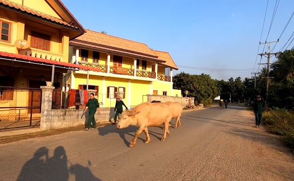 Luang Prabang 2