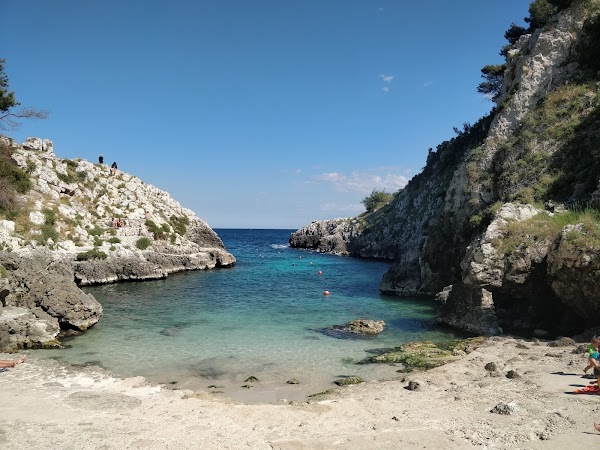 Cala dell'Acquaviva 5