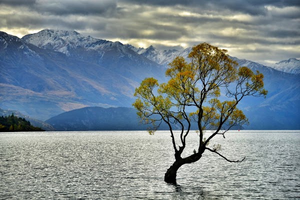 New zealand 72