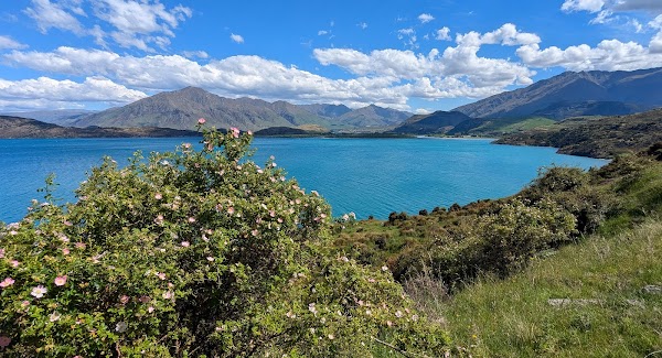 Lake Wānaka 3