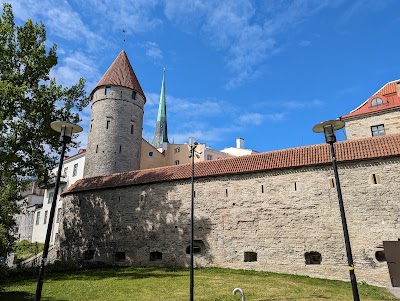 Nunnatorn ja linnamüüri platvorm 2