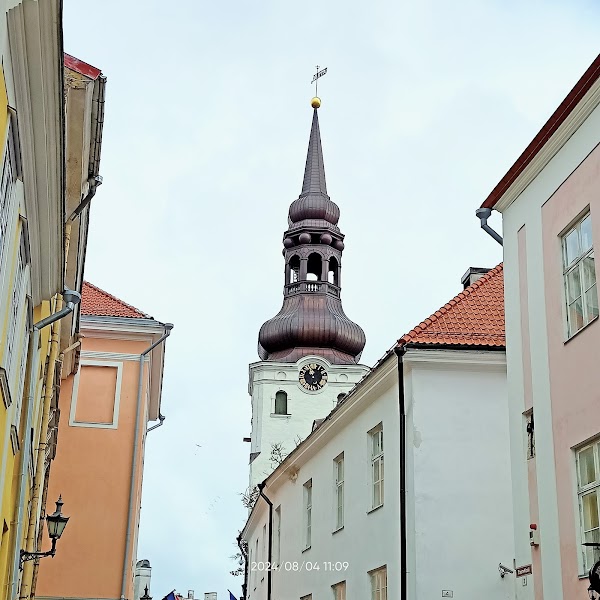 Nunnatorn ja linnamüüri platvorm 3