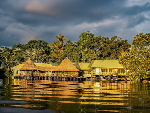 Amazon Jungle Trips