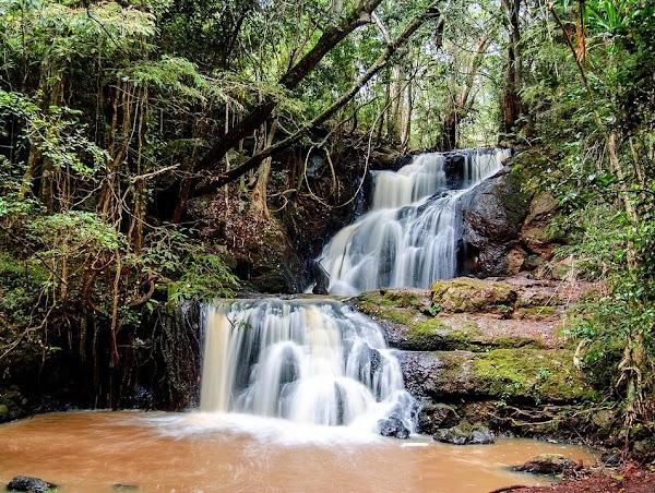 Karura Forest 5