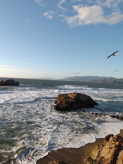 Point Lobos 1