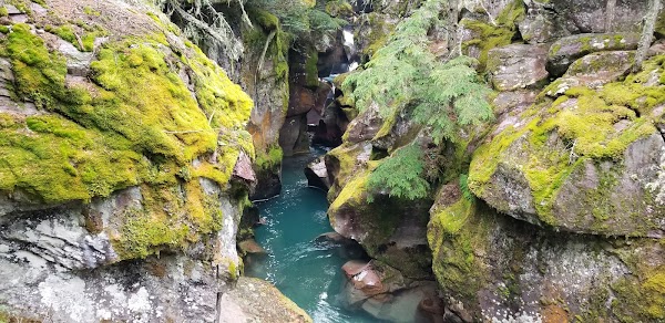 West Glacier 4