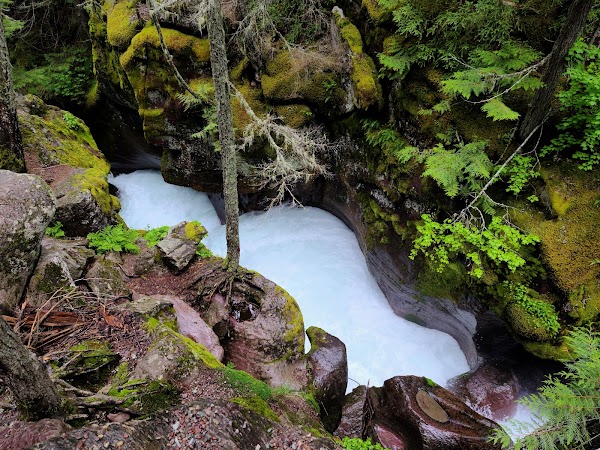 West Glacier 3