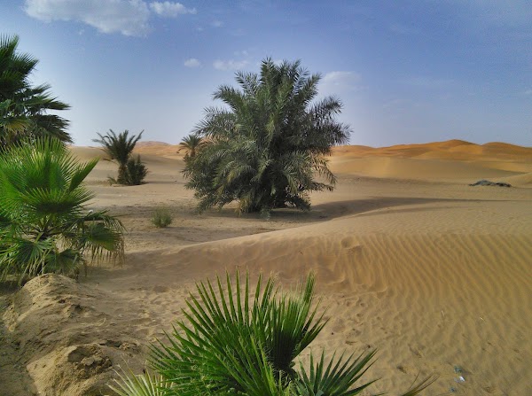 Erg Chebbi 2