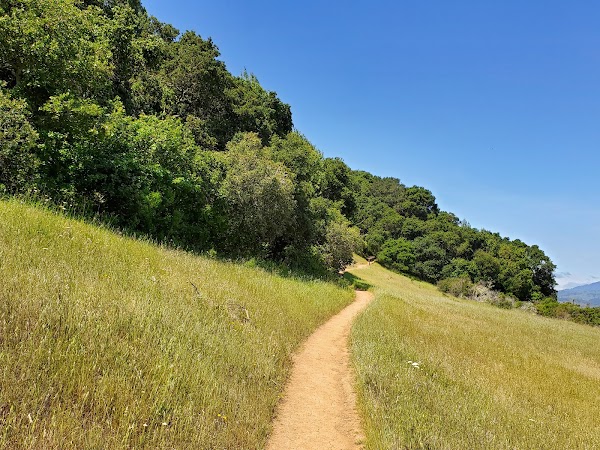 Edgewood Park & Natural Preserve 5