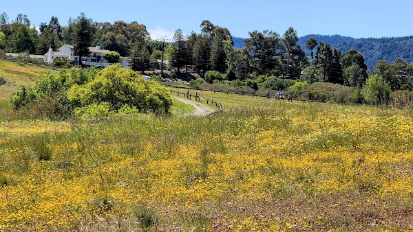 Edgewood Park & Natural Preserve 3