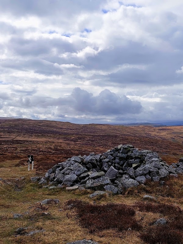 Mynydd Llangynidr
