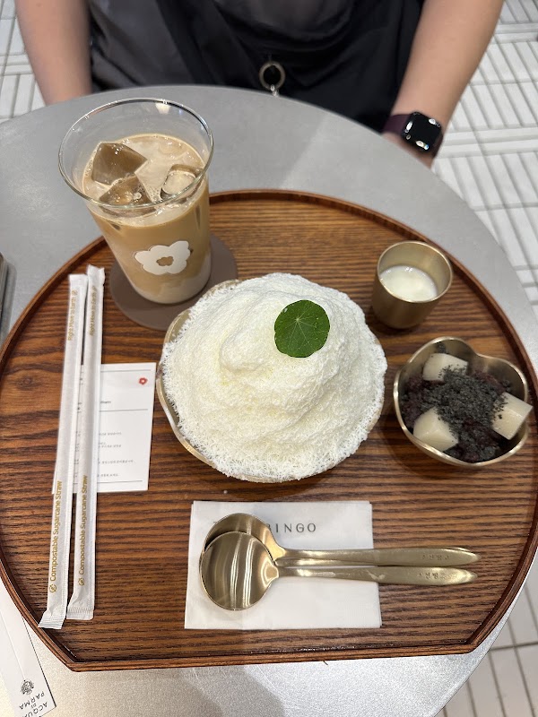 조선빙고 Josun Bingo 4