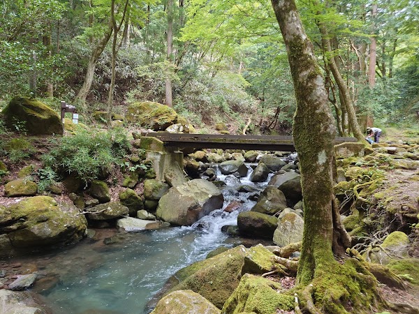 Chisuji Falls 5