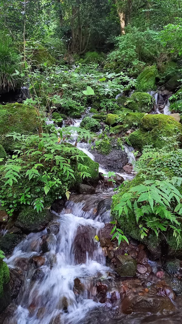 Chisuji Falls 4