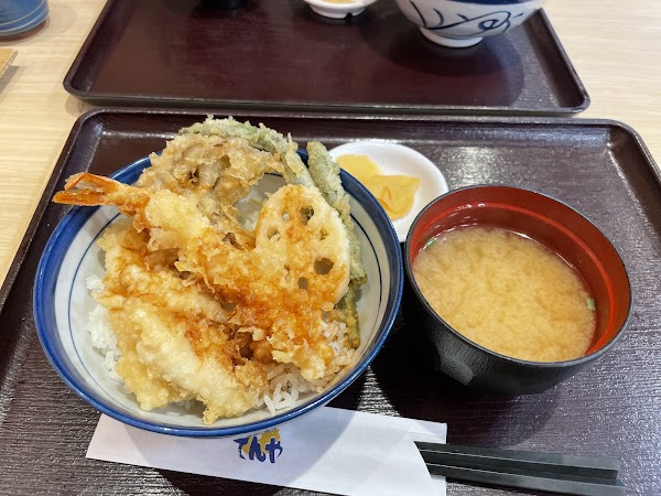 Tendon Tenya 3
