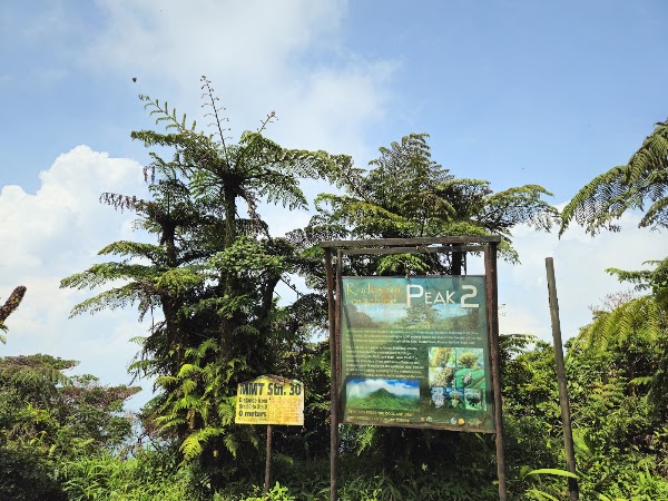 Mount Makiling 3