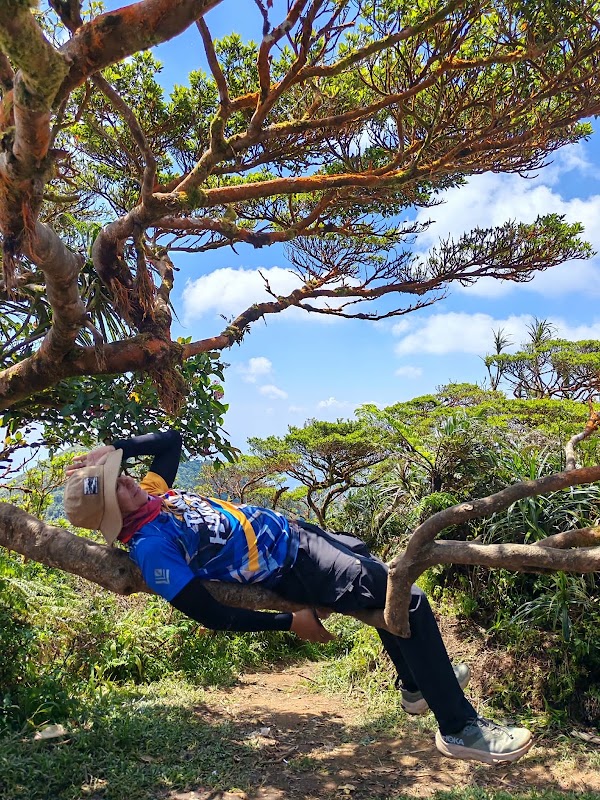 Mount Makiling 2