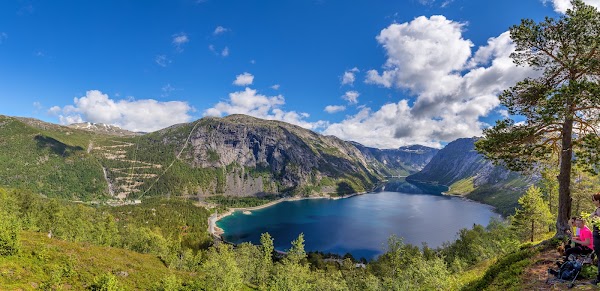 Skjeggedal