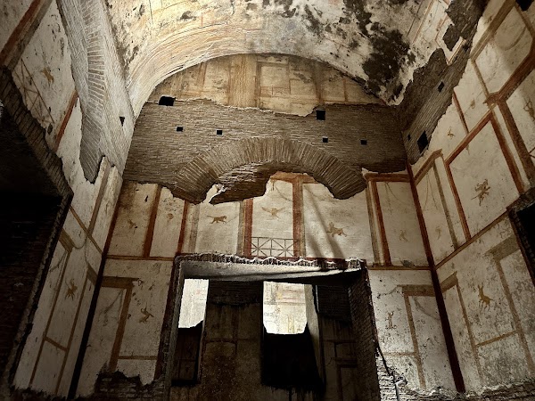 Domus Aurea 5