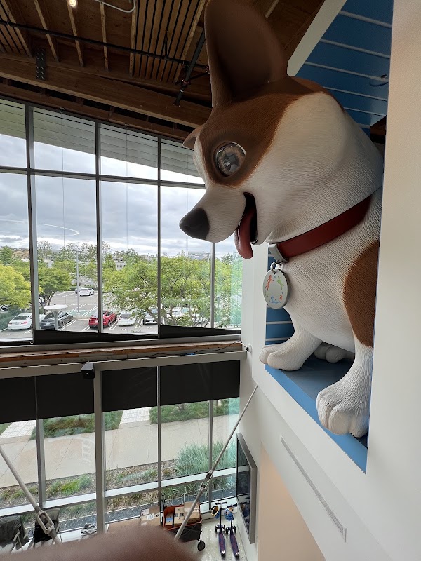 Wallis Annenberg PetSpace