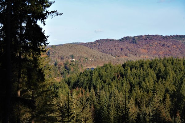 Craigvinean Forest