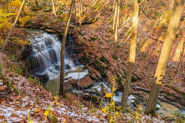 Louth Conservation Area 1