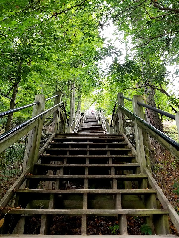 Mount Baldhead Park 1